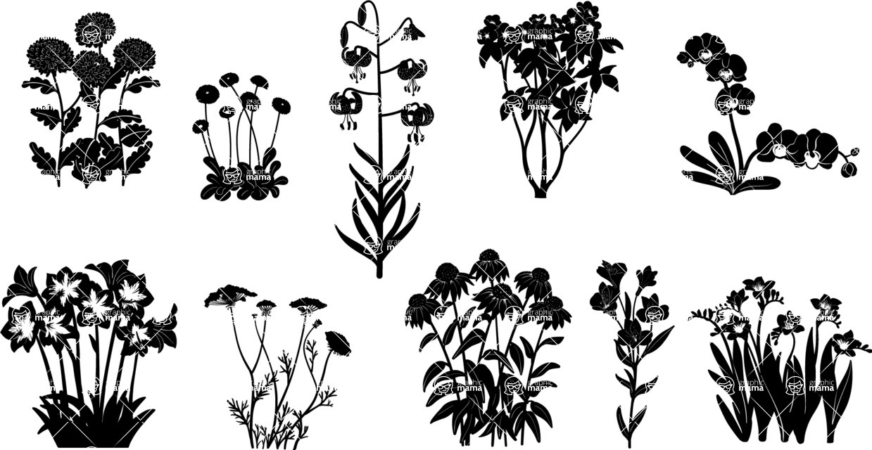 Vector silhouettes - Floral Silhouettes Vector Set